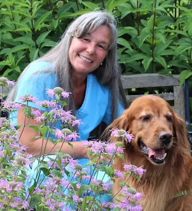 Shell at College Mall Veterinary Hospital with a golden retriever Shell at College Mall Veterinary Hospital with a golden retriever