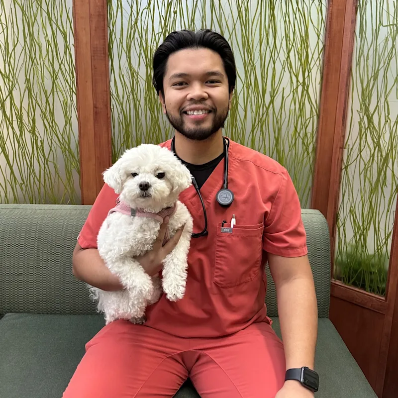 Dr. Jon Cudiamat Dr. Jon Cudiamat