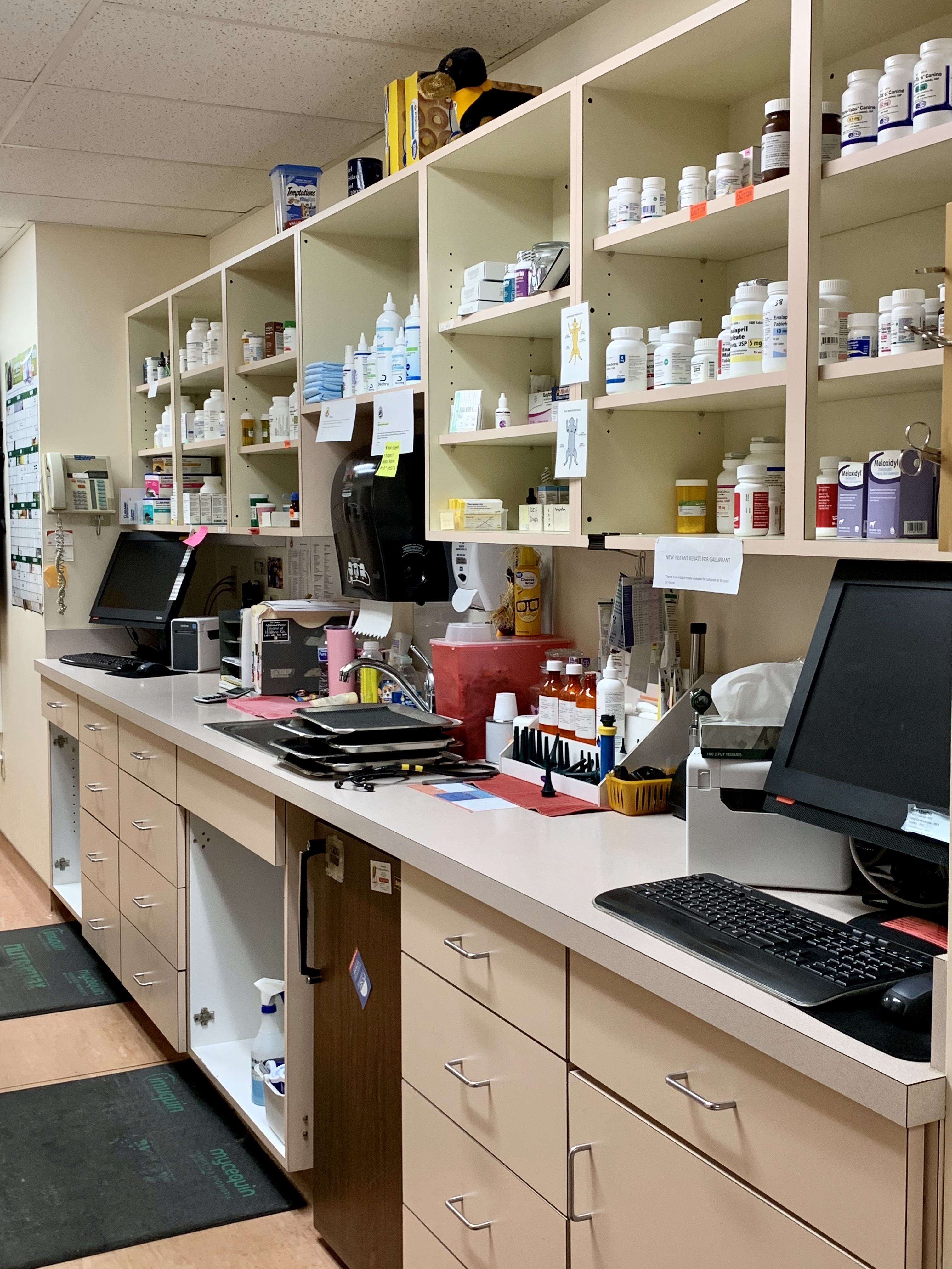 Op Exam Hall at Camboro Veterinary Hospital
