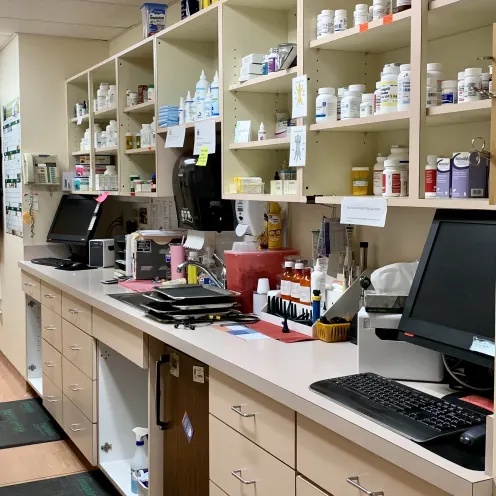 Op Exam Hall at Camboro Veterinary Hospital