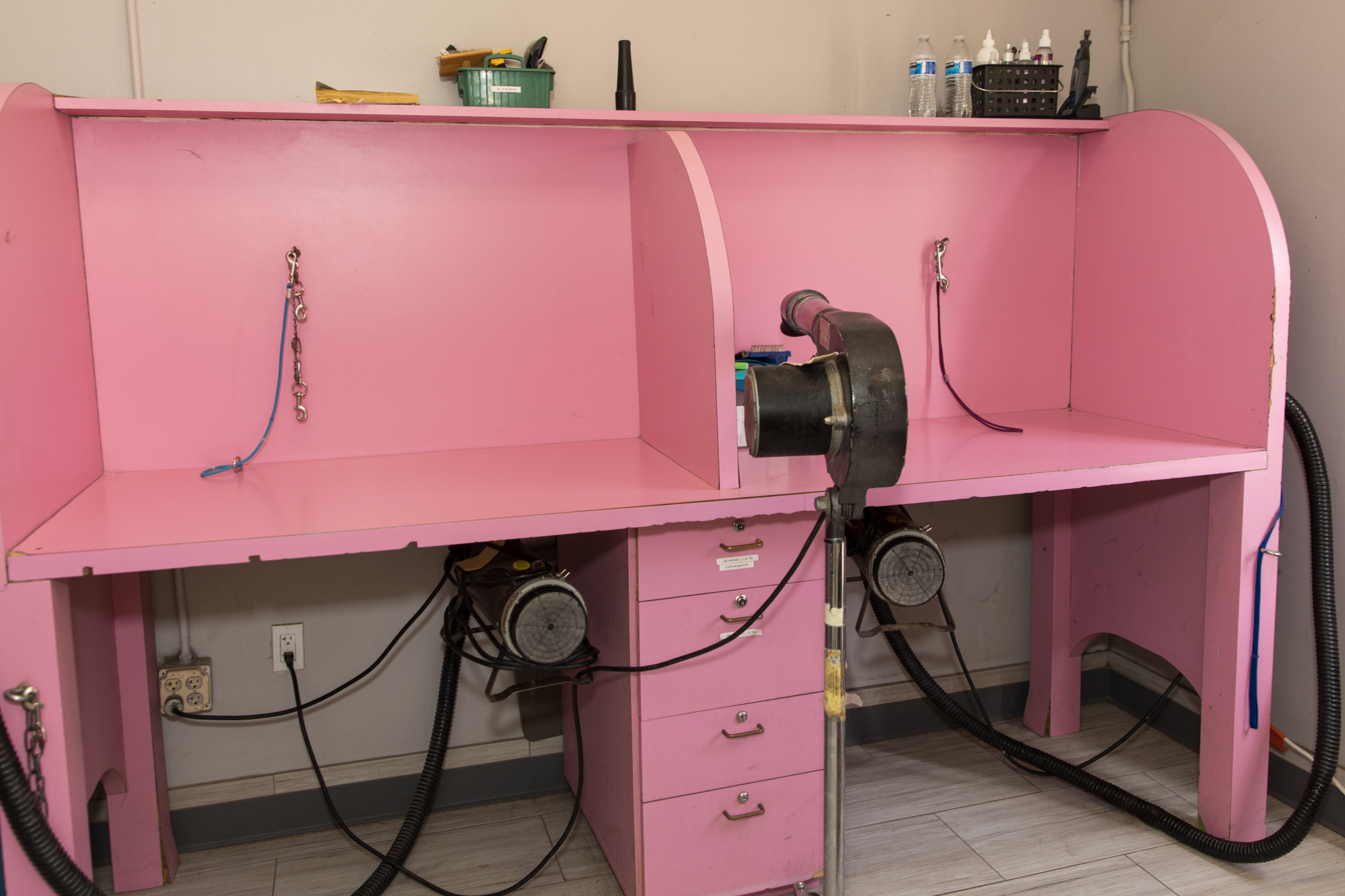 4 Paws Pet Resort Grooming Station