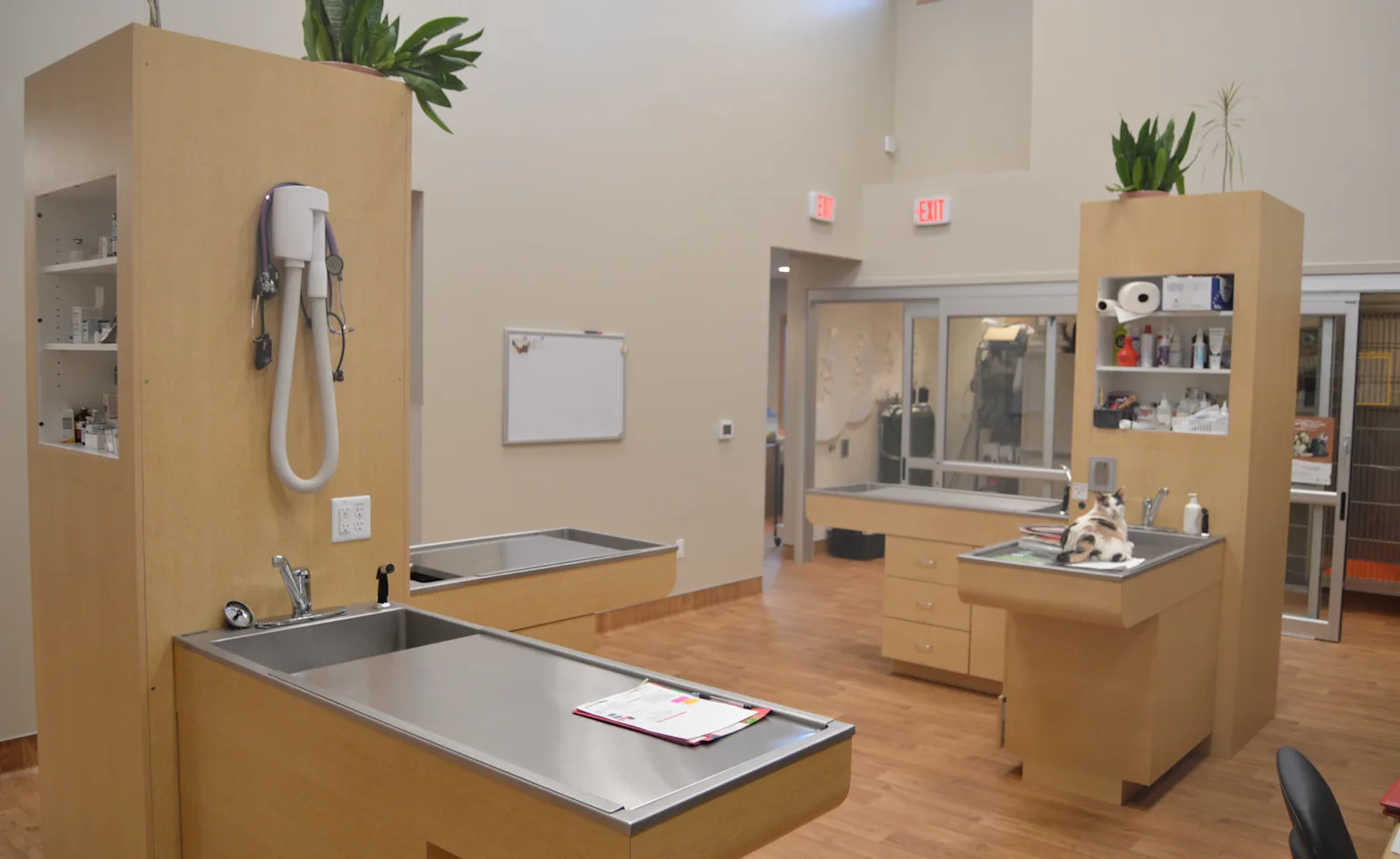 Interior exam area with cat laying down at Willow Springs veterinary clinic in Pleasant Prairie, WI Interior exam area with cat laying down at Willow Springs veterinary clinic in Pleasant Prairie, WI
