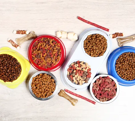Pet Food Bowl Pet Food Bowl