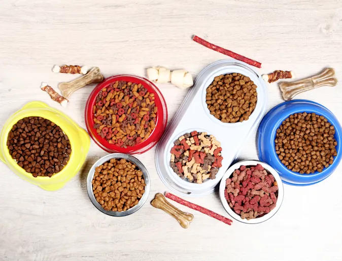 Pet Food Bowl Pet Food Bowl