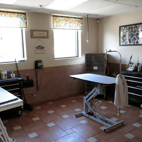 Palm Glen Animal Hospital Operating Room Palm Glen Animal Hospital Operating Room