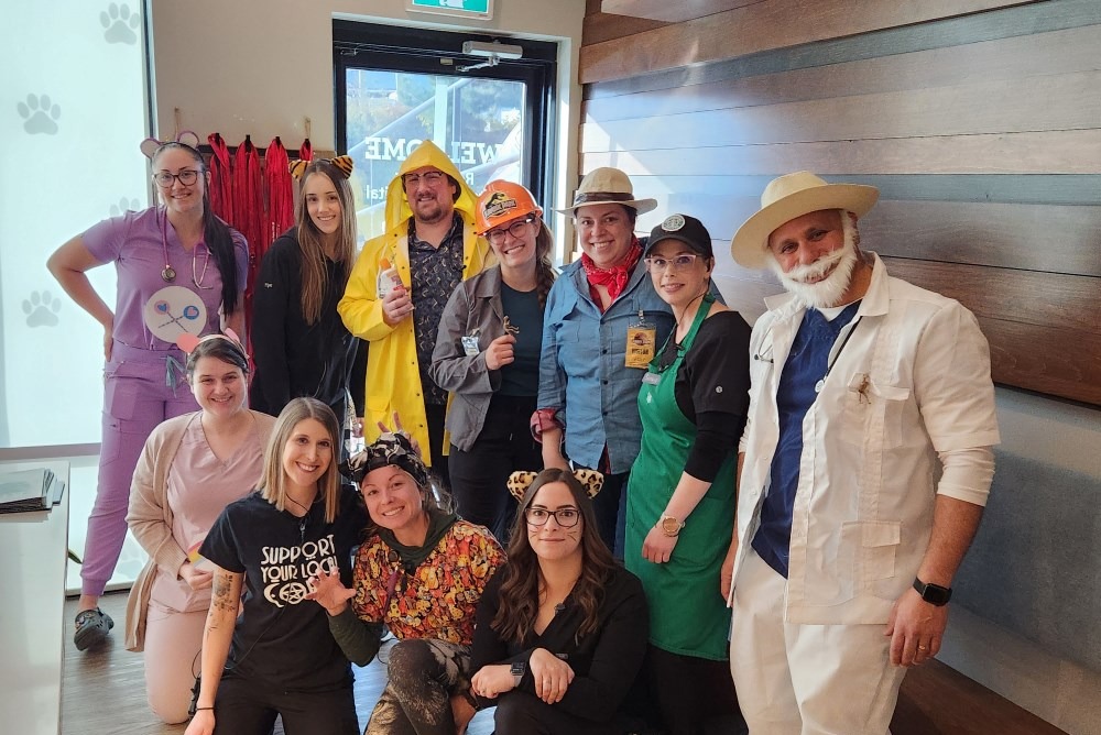 Staff dressing up for Halloween 