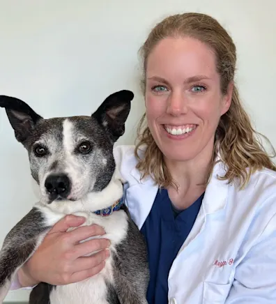 Dr. Megan Gibson at Clocktower Animal Hospital Dr. Megan Gibson at Clocktower Animal Hospital