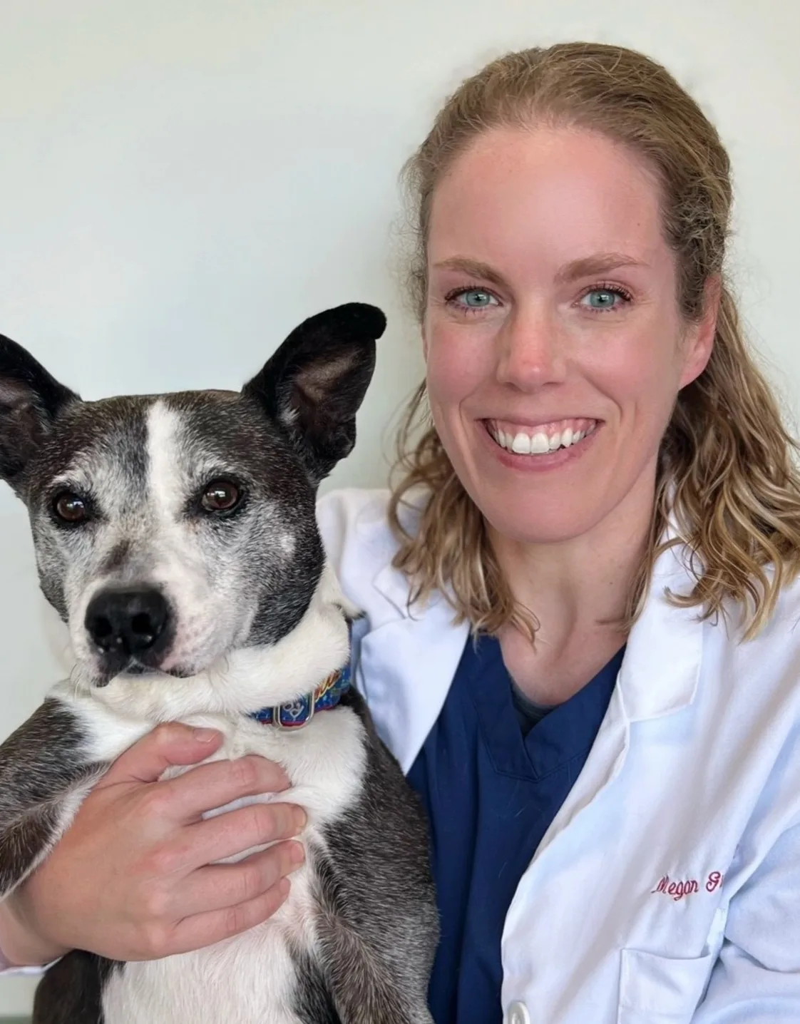 Dr. Megan Gibson at Clocktower Animal Hospital Dr. Megan Gibson at Clocktower Animal Hospital