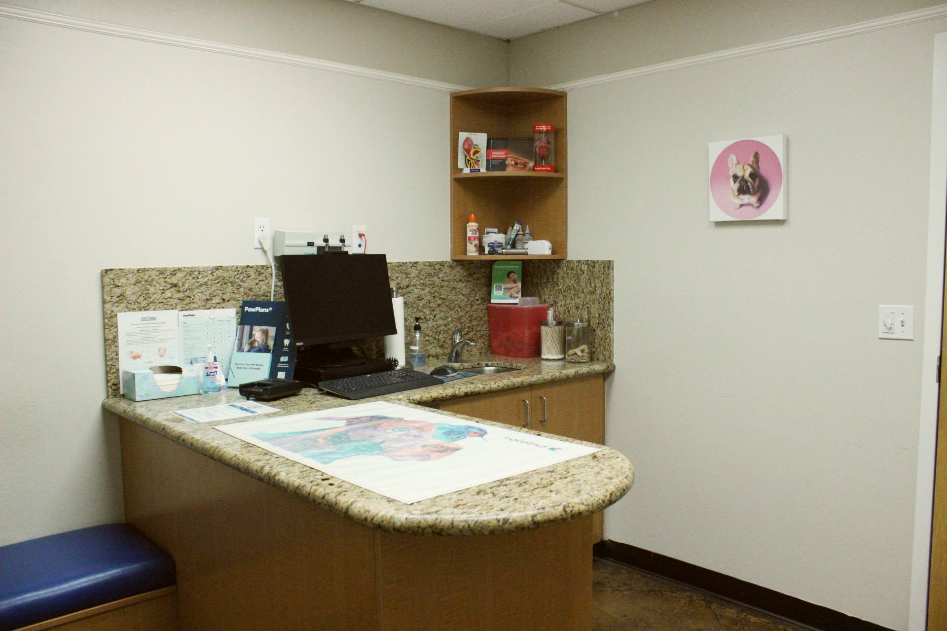 Patient Examination Room