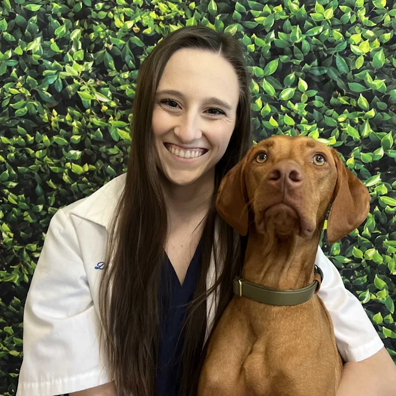 Dr. Lauren Dartez Dr. Lauren Dartez
