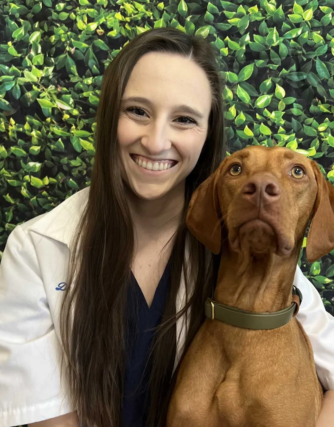 Dr. Lauren Dartez Dr. Lauren Dartez