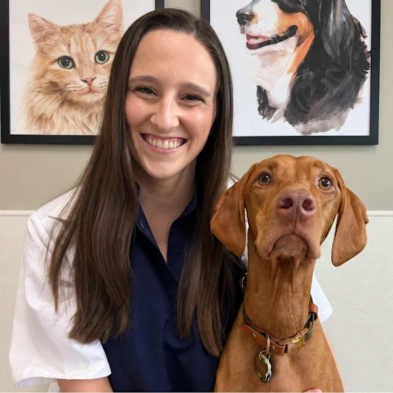 Dr. Lauren Dartez Dr. Lauren Dartez