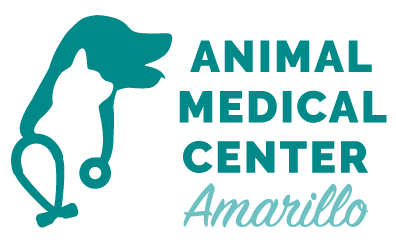 Animal medical center store of the village