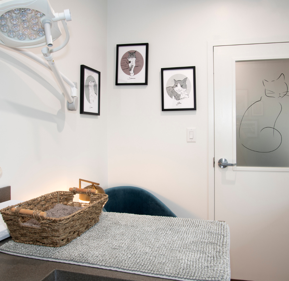 Check up room with photos on the wall and a designed door