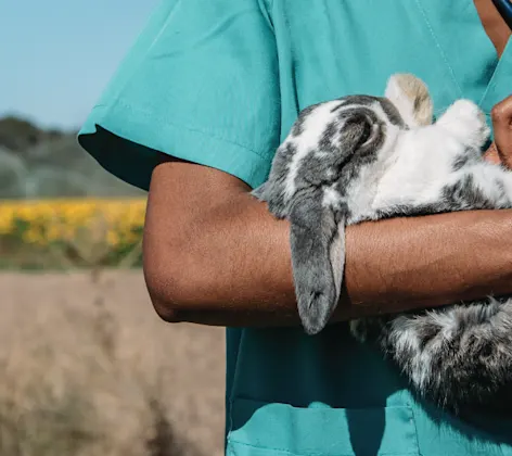 Woman holding rabbit while outside