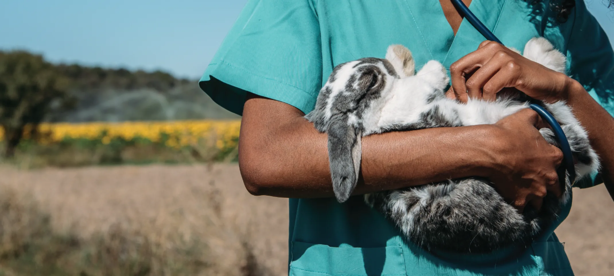 Woman holding rabbit while outside