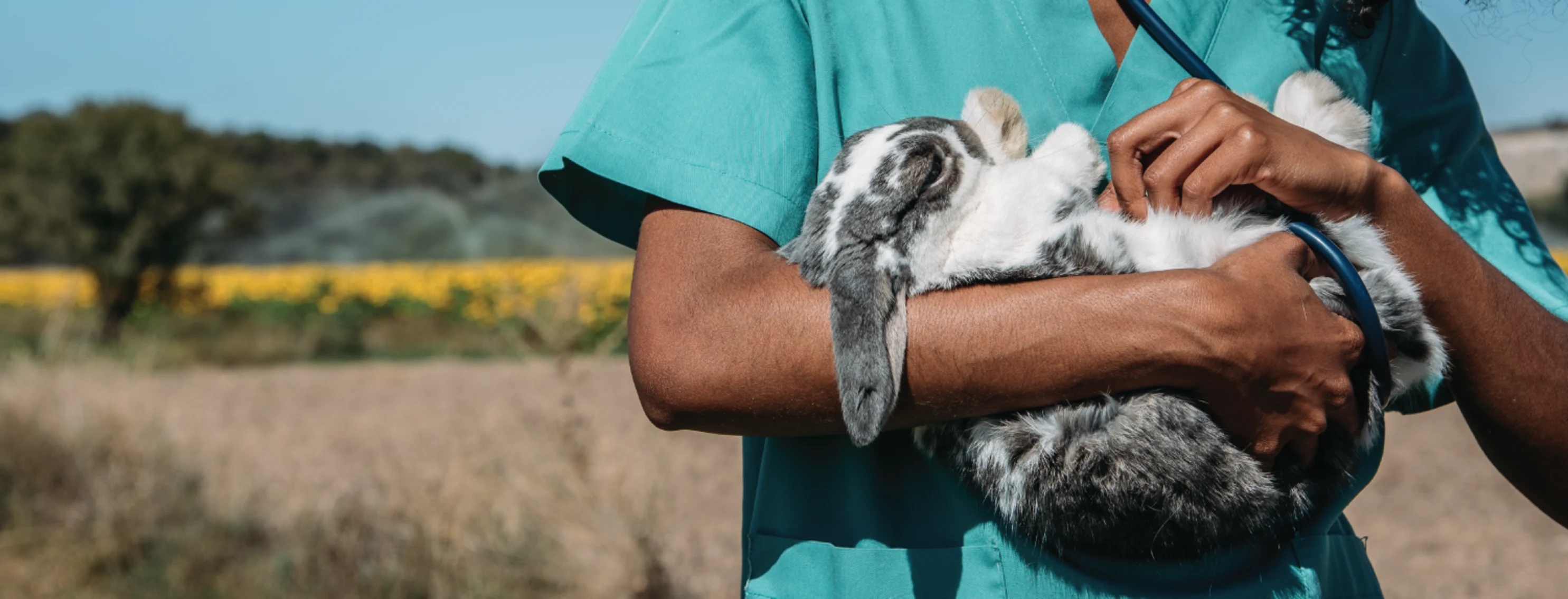 Woman holding rabbit while outside