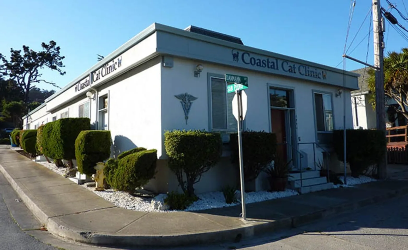 Coastal Cat Clinic exterior with sidewalk and hedges outside and blue sky