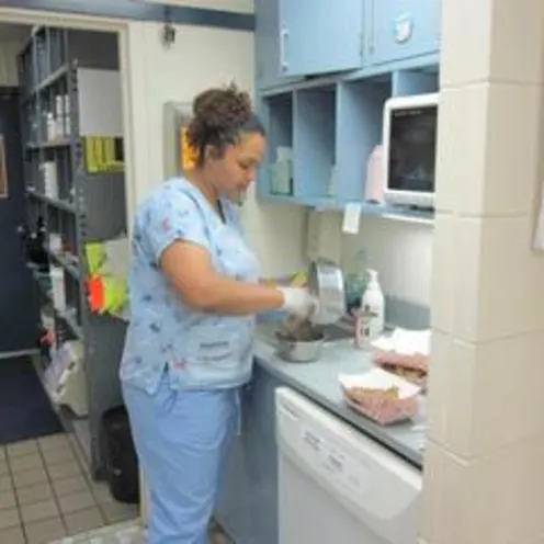  Florissant Animal Hospital Feeding