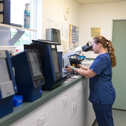 Haven Animal Hospital Lab where there's a female staff member with blue scrubs on looking through a microscope. 
