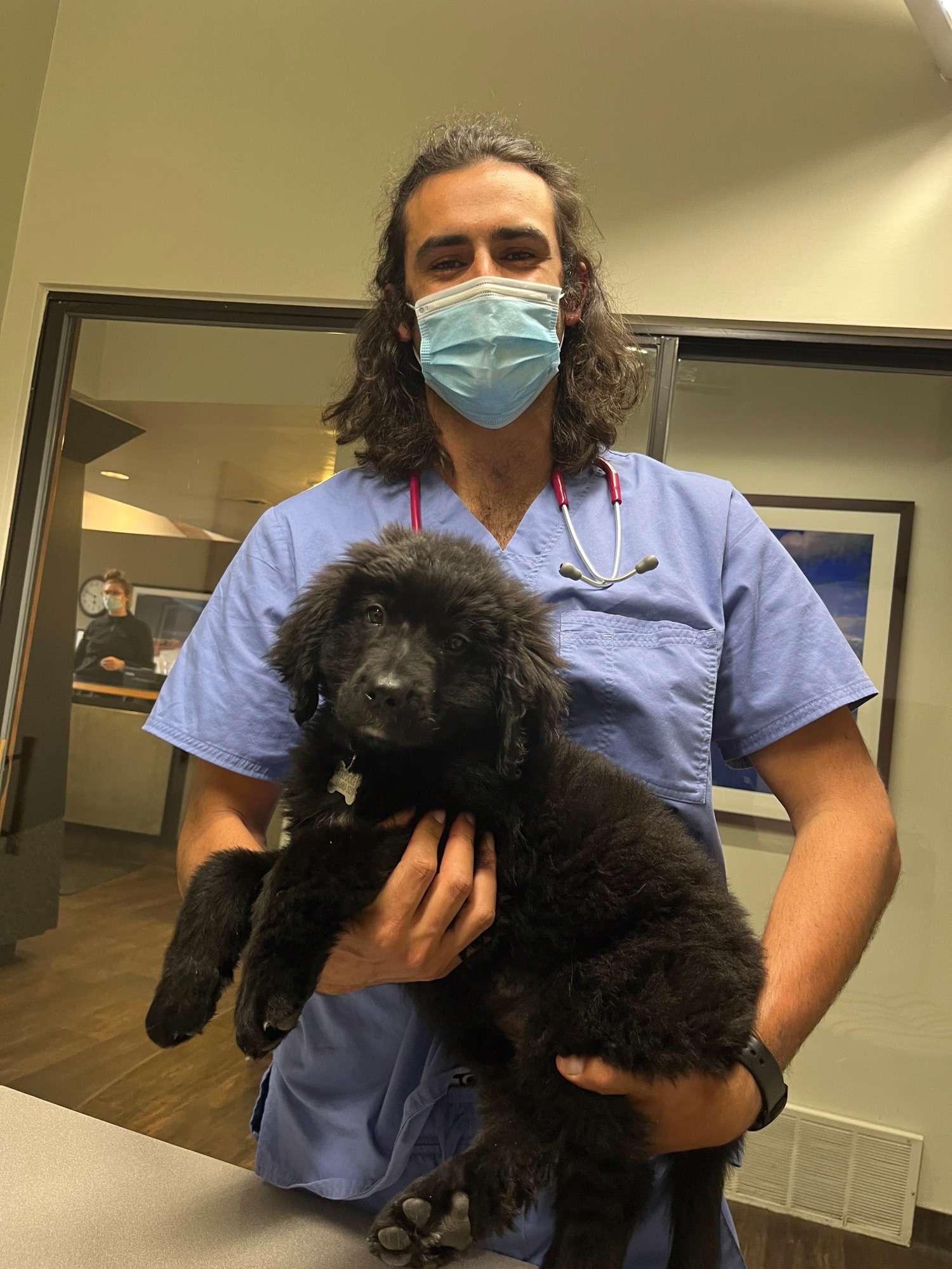 Staff wearing blue scrubs holding big puppy.