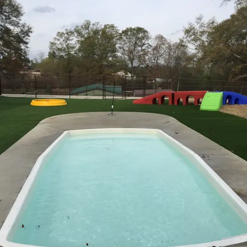 May Vet pool May Vet pool