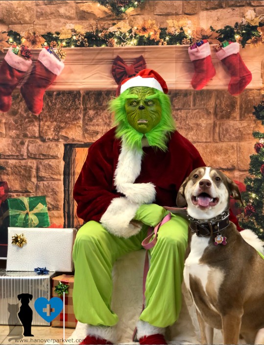Autumn with The Grinch at Hanover Park Care Center