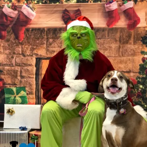 Autumn with The Grinch at Hanover Park Care Center