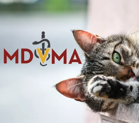 MDVMA logo with a cat's face peeking out