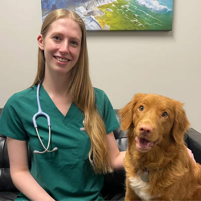 Dr. Bella Grainger Dr. Bella Grainger