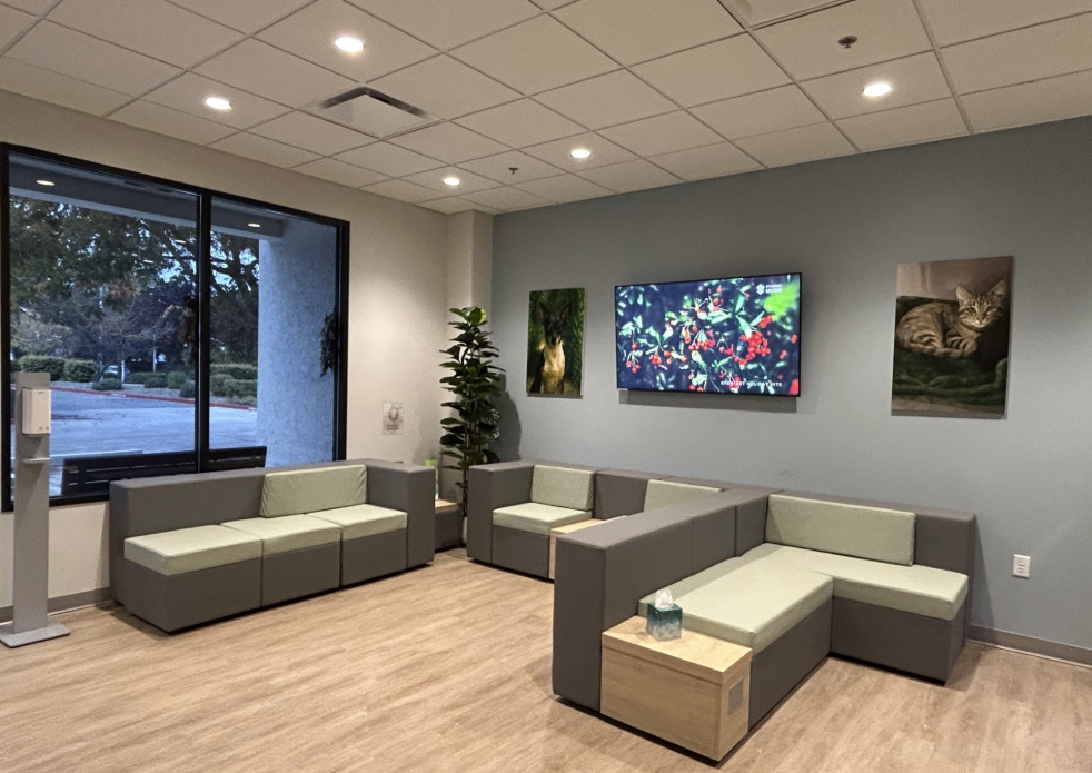 Vista Veterinary Specialists Waiting Area