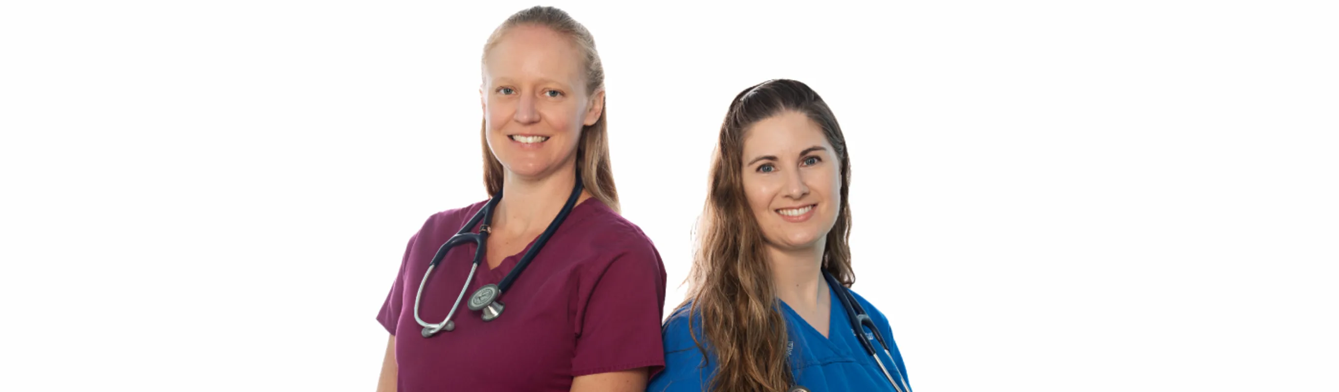 Two veterinarians at Plaza Del Amo Animal Hospital 