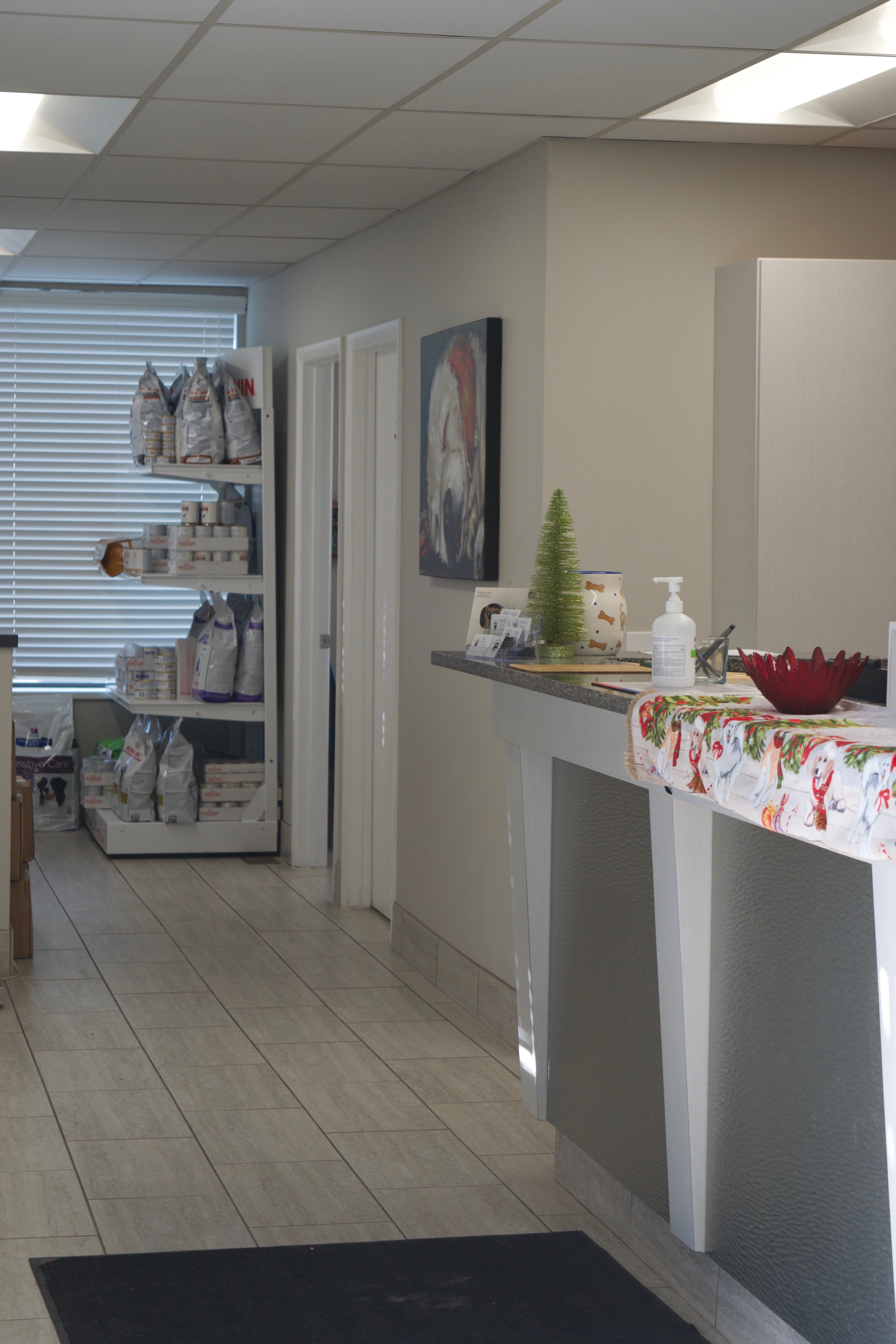 Reception desk and shelving in the hallway with pet medication and food at East Valley Veterinary Clinic