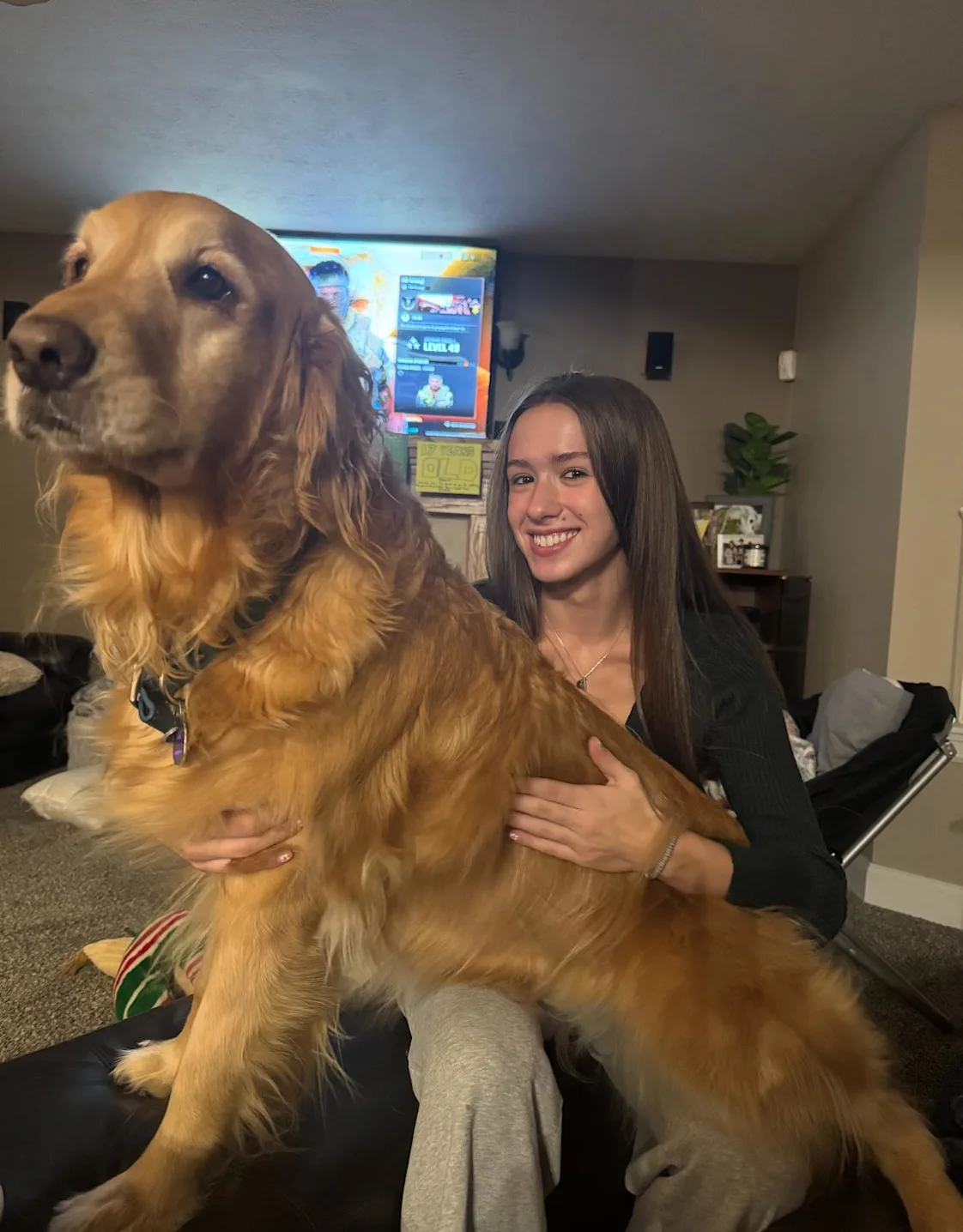 Isabella with a golden retreiver Isabella with a golden retreiver