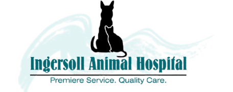 Ingersoll Animal Hospital Logo Ingersoll Animal Hospital Logo