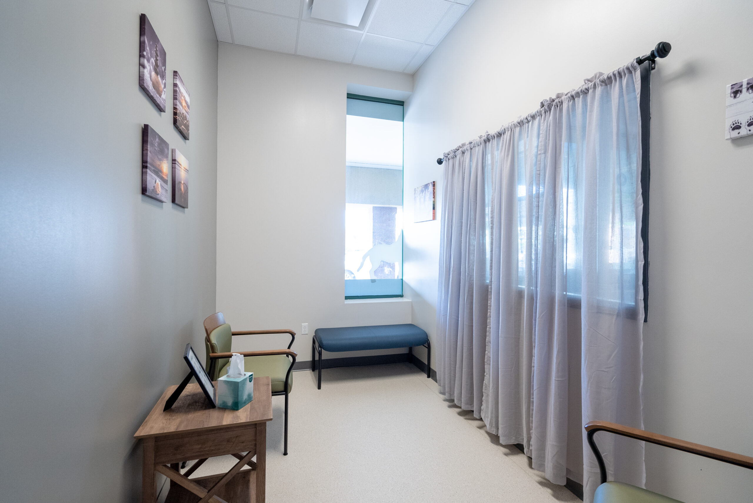 Red Bank Veterinary Hospital Hillsborough facility