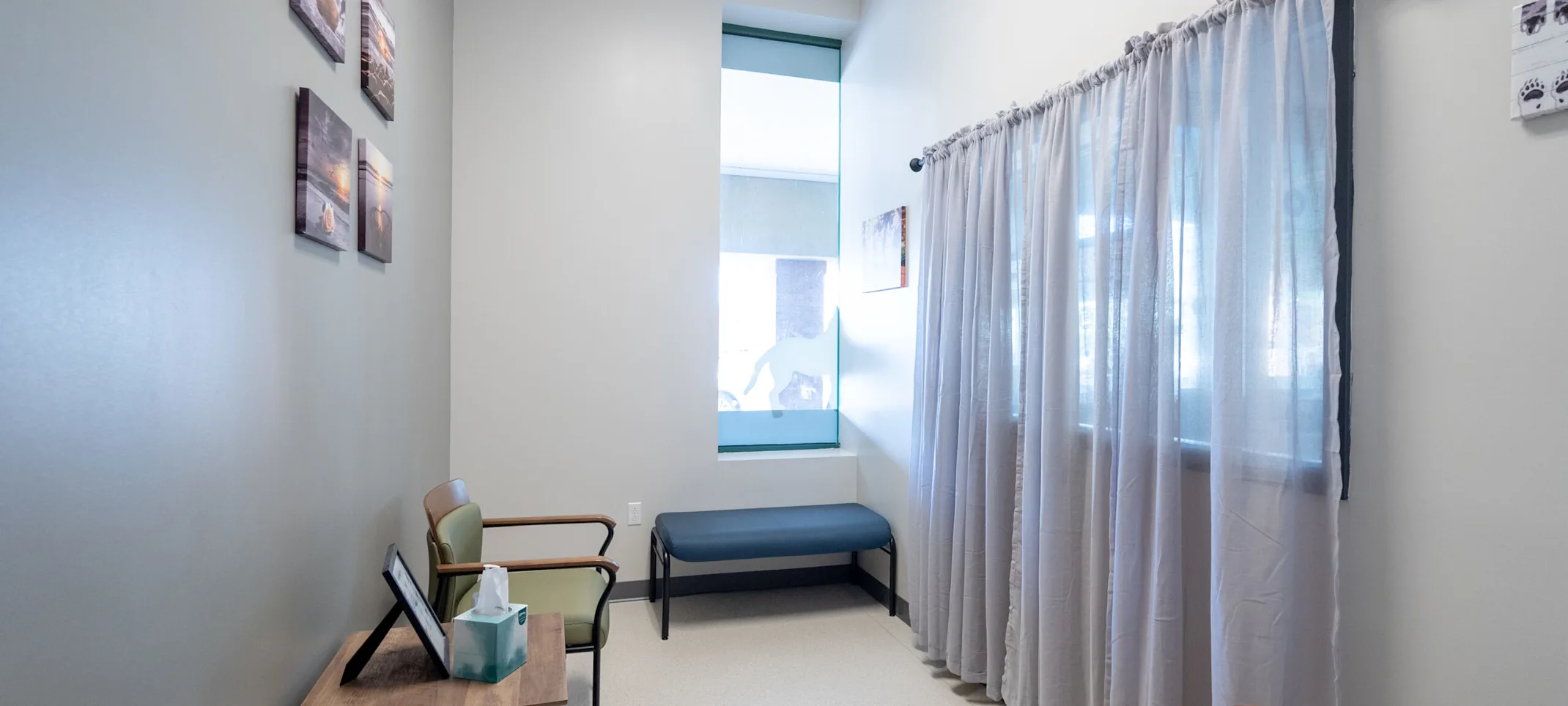 Red Bank Veterinary Hospital Hillsborough facility Red Bank Veterinary Hospital Hillsborough facility