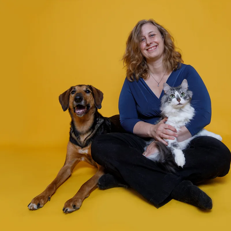 Highway 24 Veterinary Clinic 0719 - Dr. Jennifer Webb Highway 24 Veterinary Clinic 0719 - Dr. Jennifer Webb