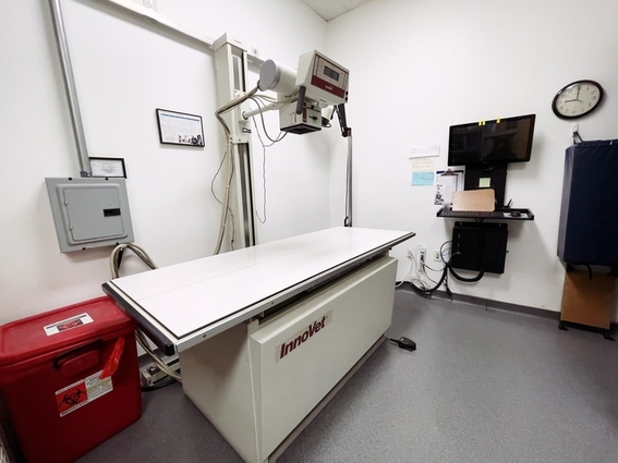 Radiology Equipment/Area