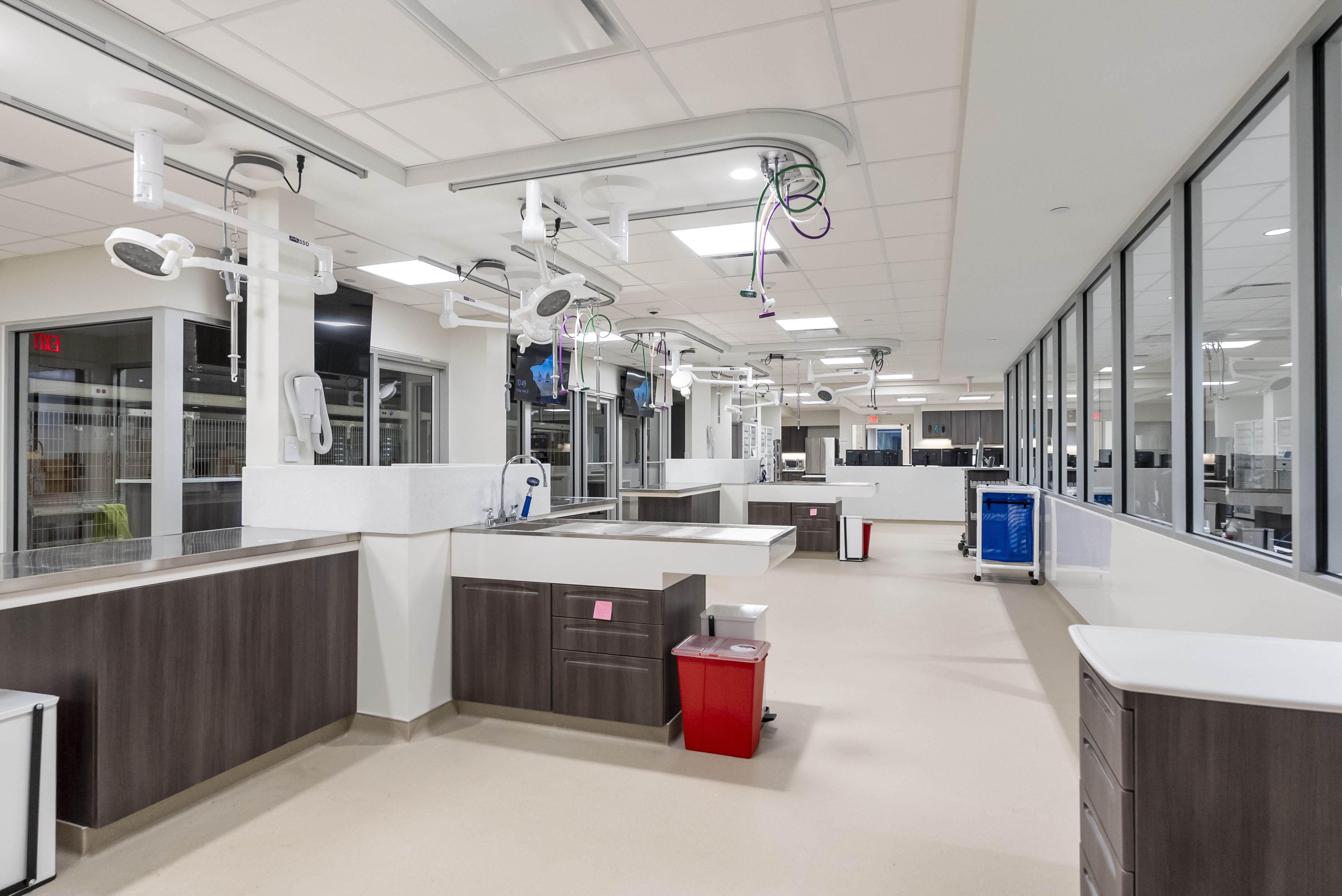 Red Bank Veterinary Hospital Tinton Falls facility