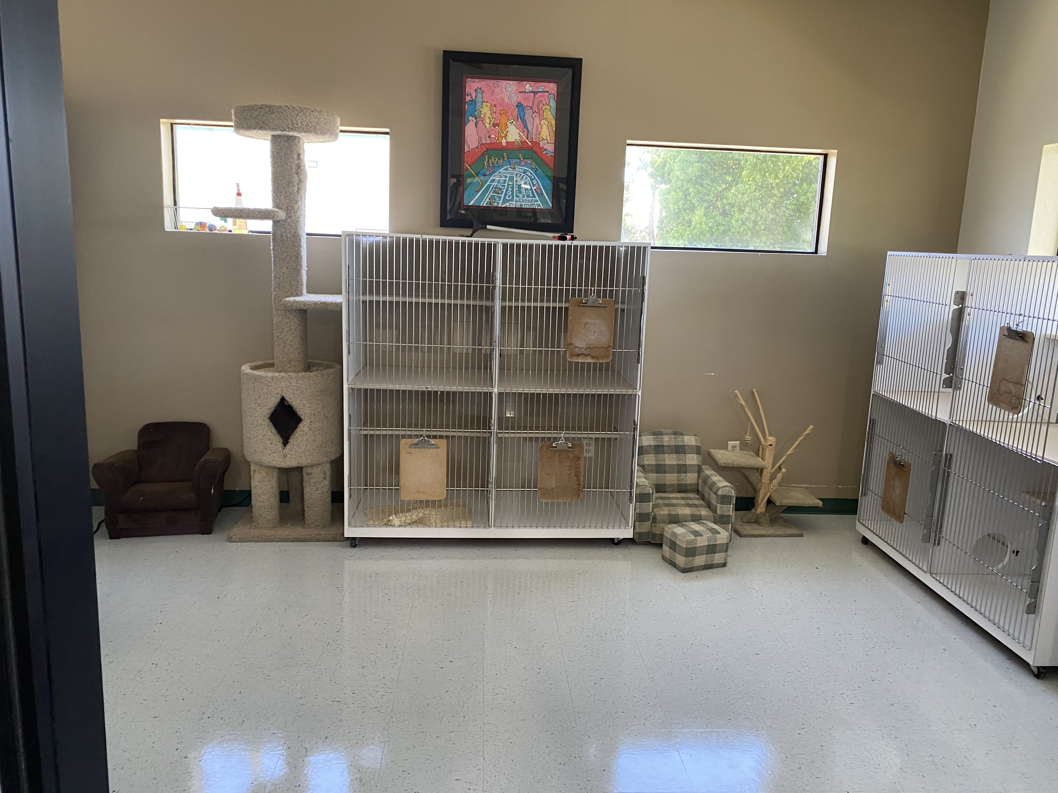 Cat boarding facility at Coffee Road Animal Hospital