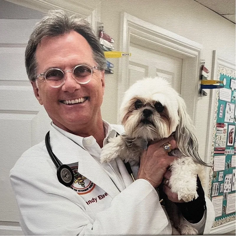 Dr. Randy Eisel Dr. Randy Eisel