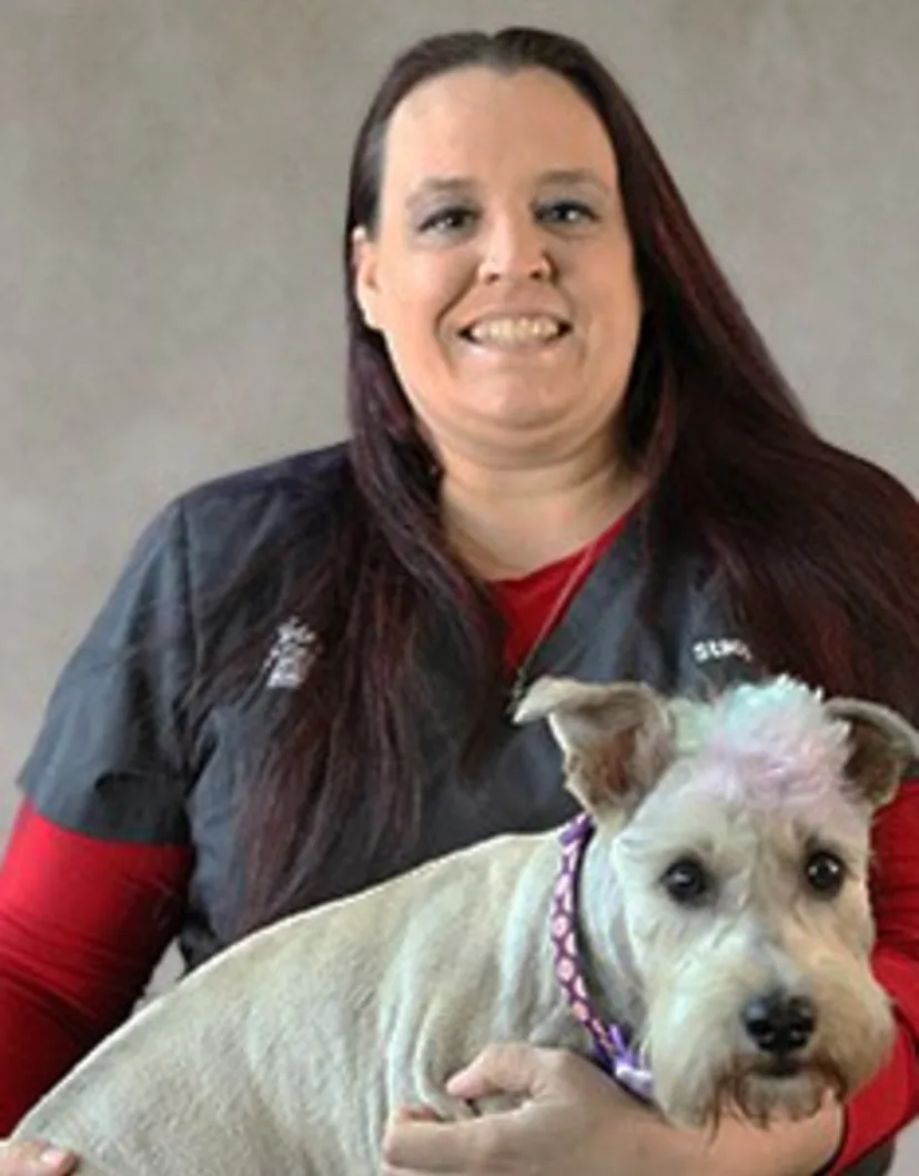 Stacy Hager smiling in front of a grey backdrop with a dog with dyed blue and purple hair