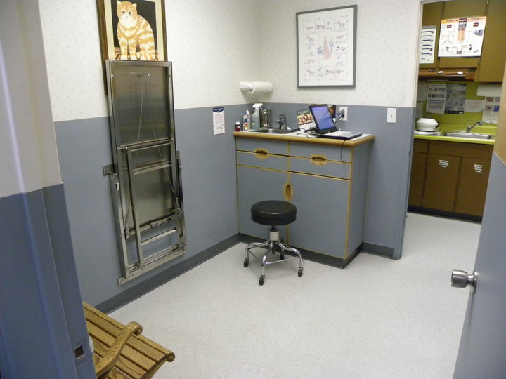 East Lake Animal Clinic's bigger exam room that consist of a desk area, roll away seat, wooden bench and adjustable checkup table