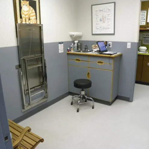 East Lake Animal Clinic's bigger exam room that consist of a desk area, roll away seat, wooden bench and adjustable checkup table