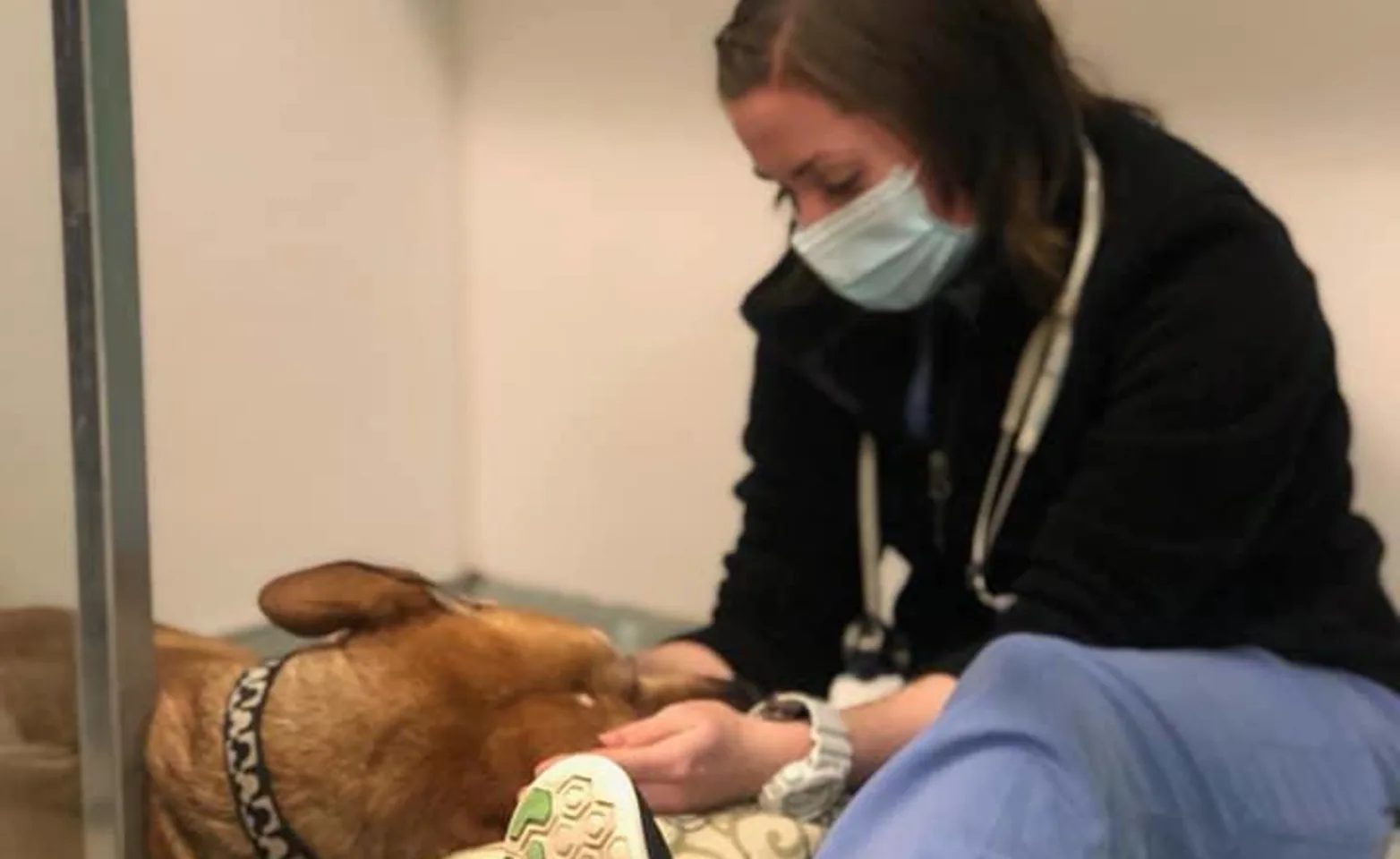 staff member with dog staff member with dog