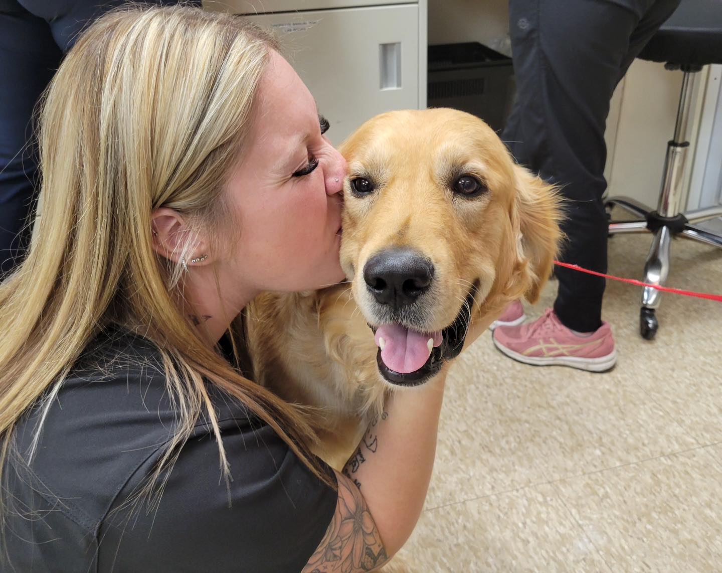 Vet kissing a happy golden retriever