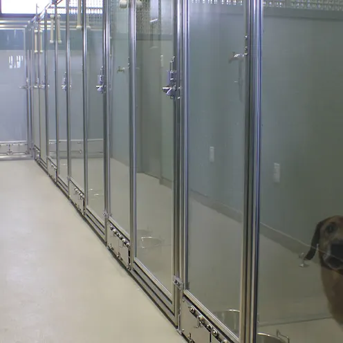 Suite room with a view Suite room with a view