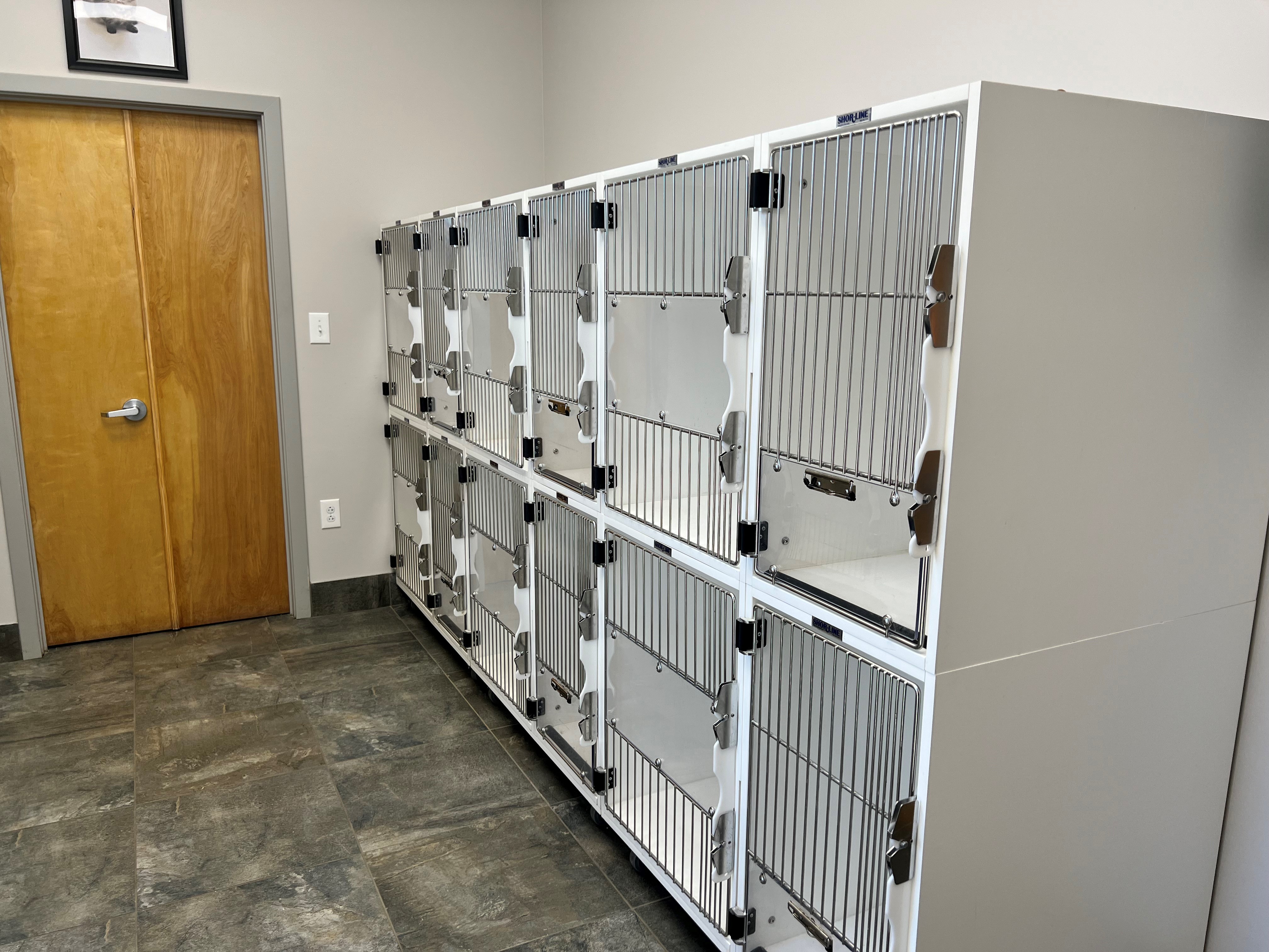 Right side of cat room