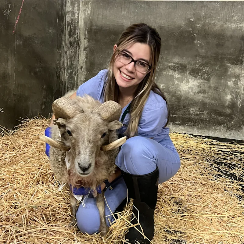 Dr. Mirella Lopez Dr. Mirella Lopez